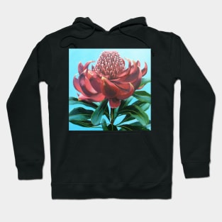 Red Delight Hoodie